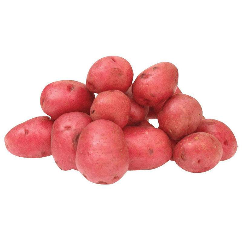 Potato - Red (Pakistan)