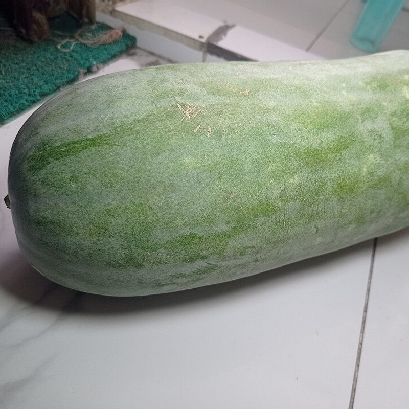 Ash Gourd (Kumblam) (UAE)