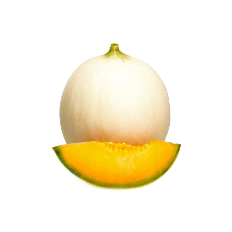 Melon - Sweet Melon (Oman)