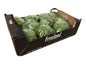 Iceberg lettuce Box 5 kg Oman 🇴🇲