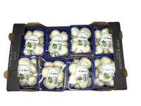 White Mushrooms full Box China 🇨🇳