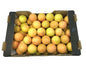 Grapefruit Box.  15 kg - (55-60 pcs per box) turkey🇹🇷