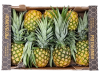 Pineapple Honeyglow Box  Approx 12 kg