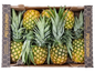 Pineapple Honeyglow Box  Approx 12 kg