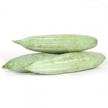 Snake Gourd Premium India 🇮🇳