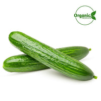 Cucumber Organic India 🇮🇳