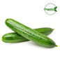 Cucumber Organic 500g India 🇮🇳