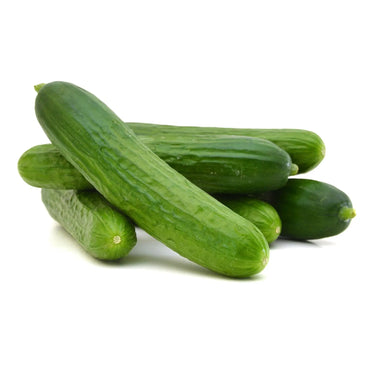 Cucumbers Organic Oman 🇴🇲