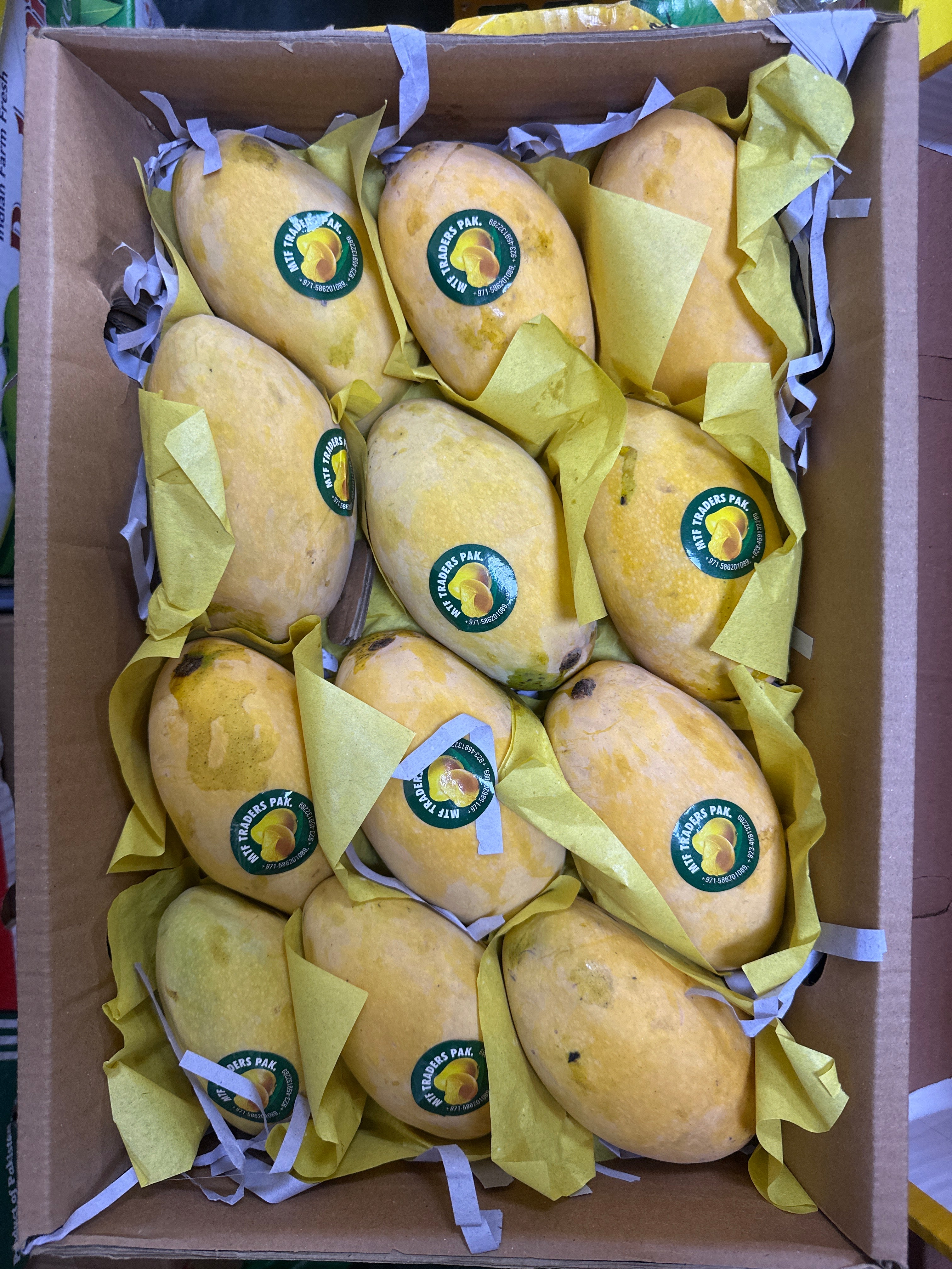 Mango chunca (3.2 kg) by air Pakistan 🇵🇰