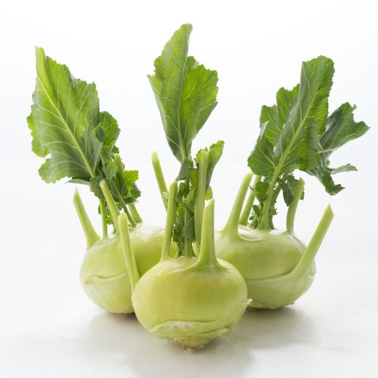 Kohlrabi Premium Quality (Holland)🇳🇱