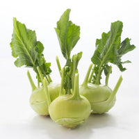 Kohlrabi Premium Quality (Holland)🇳🇱