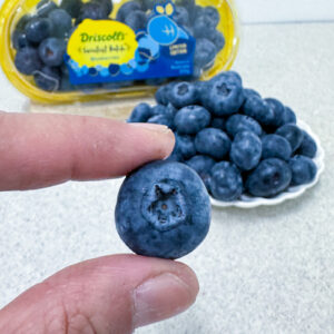 Blueberry Driscoll's USA 🇺🇸