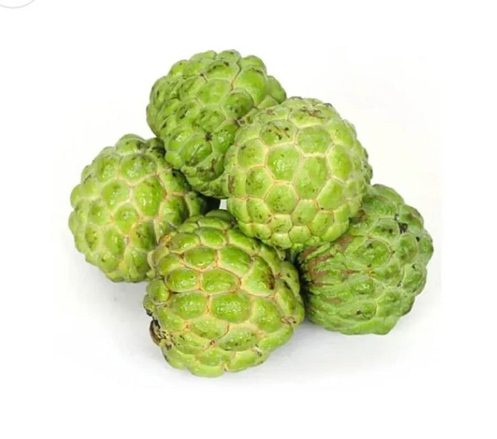 Custard Apple Indian 🇮🇳