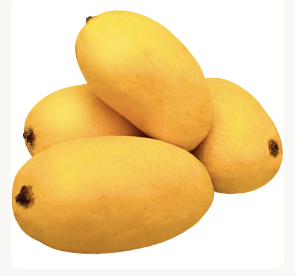 Mango Chunca 1kg by air Pakistan 🇵🇰