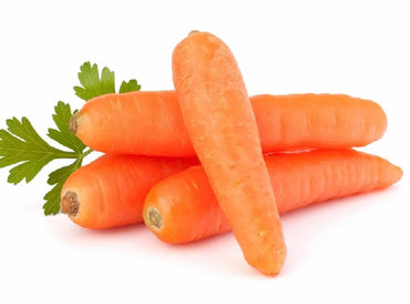 Carrot premium quality China 🇨🇳