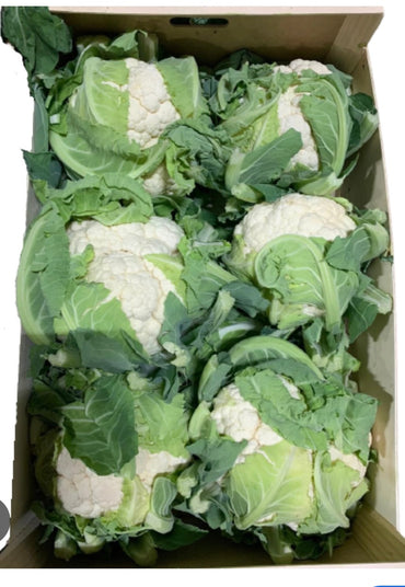 Cauliflower premium quality oman 🇴🇲