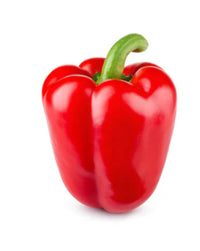 Capsicum Red UAE