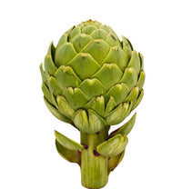 Artichoke Premium Quality -France 🇫🇷