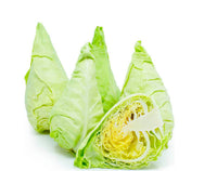 Cabbage Sprin (Netherlands)🇳🇱