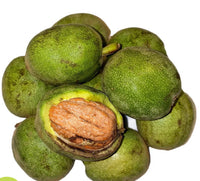 Fresh Walnut Premium Quality Iran 🇮🇷