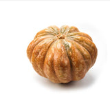 Pumpkins UAE 🇦🇪
