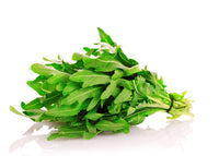 Lettuce Rocket Premium Quality (Italy)🇮🇹