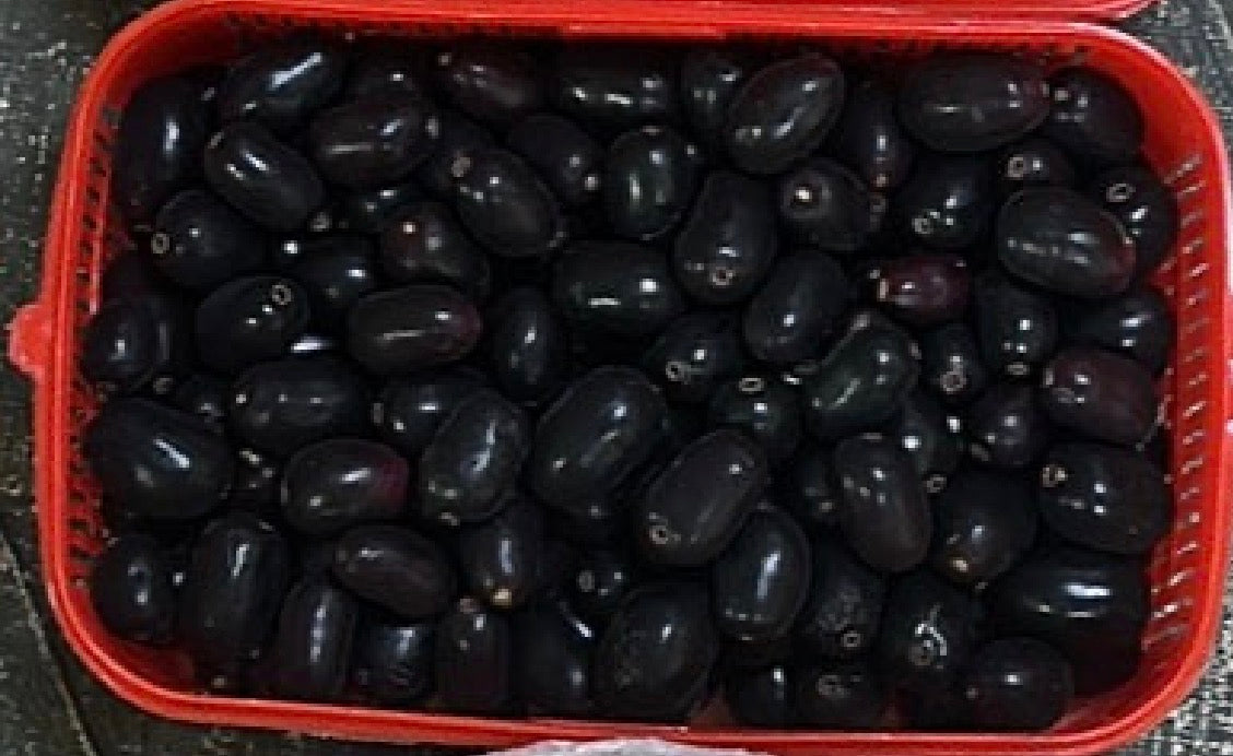 Jamun (1kg) Pakistan 🇵🇰