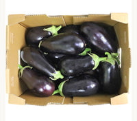 Eggplant Large UAE 🇦🇪