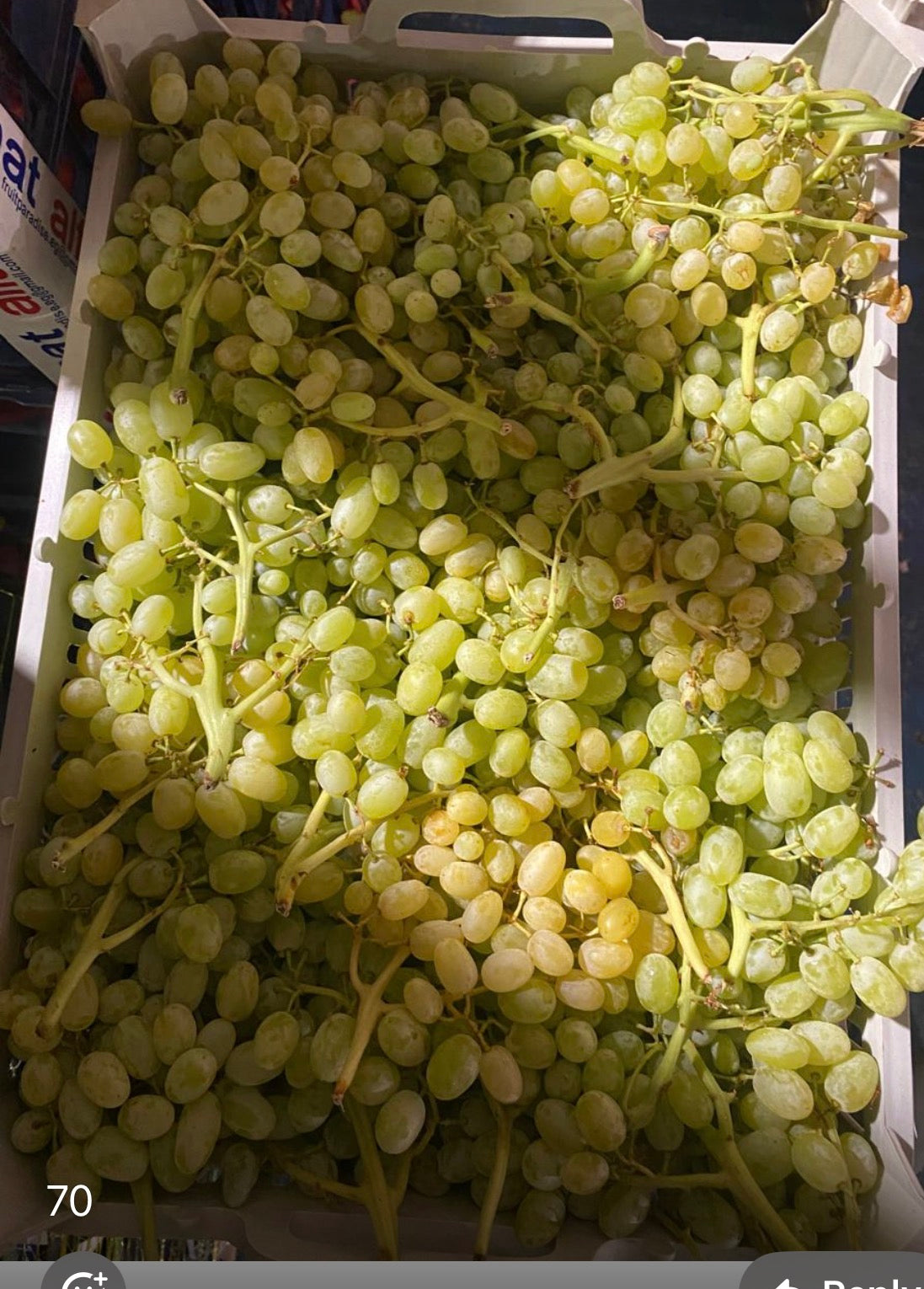 Grapes (sundar khani) India 🇮🇳