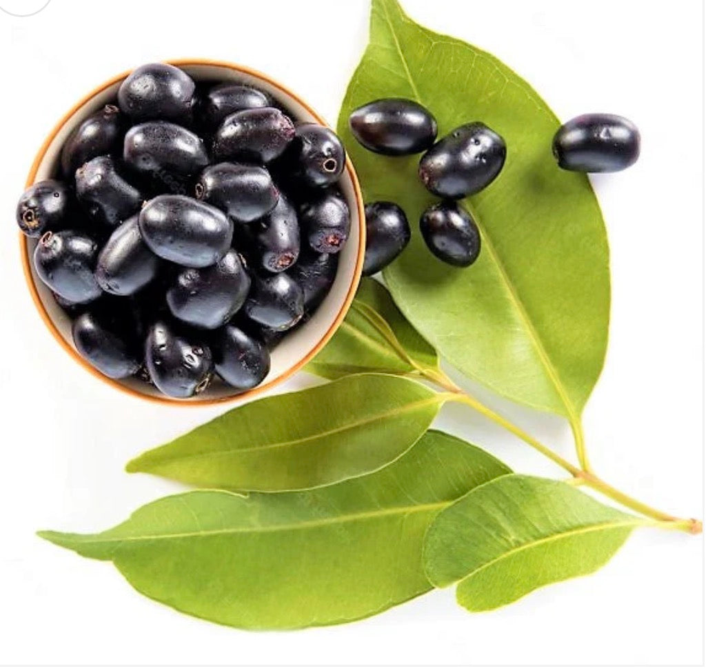 Jamun (1kg) Pakistan 🇵🇰
