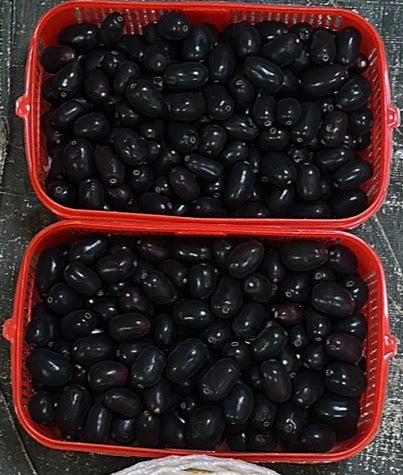 Jamun (1kg) Pakistan 🇵🇰