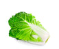 Cabbage Chinese
(Netherlands)🇳🇱 
Approx 900gm-1200gm per piece
