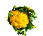Cauliflower Orange

(Netherlands)🇳🇱 
Approx 600gm-800gm per piece