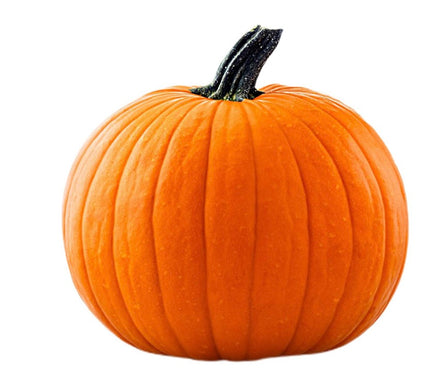 Large Pumpkin 🇳🇱