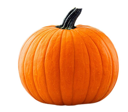 Large Pumpkin 🇳🇱