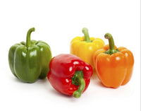 Capsicum Mix(United Arab Emirates)🇦🇪