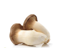King Oyster Mushroom 🍄 (China)🇨🇳