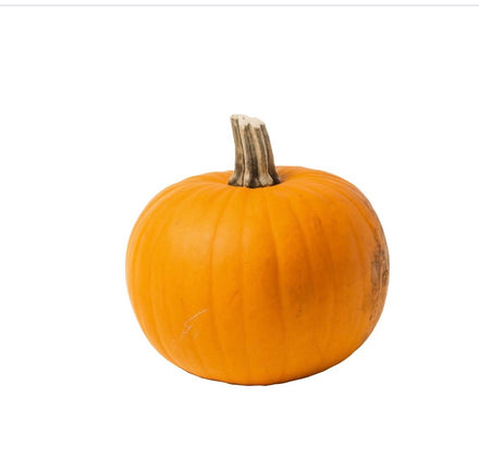 Small Pumpkin NETHERLANDS 🇳🇱