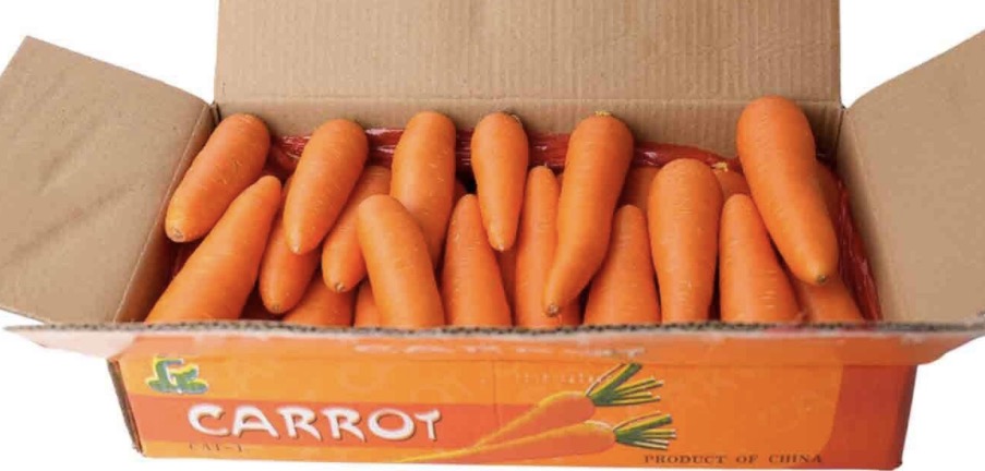 Carrot premium quality China 🇨🇳
