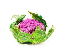 Cauliflower Purple Colour Netherlands 🇳🇱