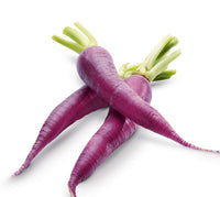 Mini Carrot Top Purple Approx South Africa
