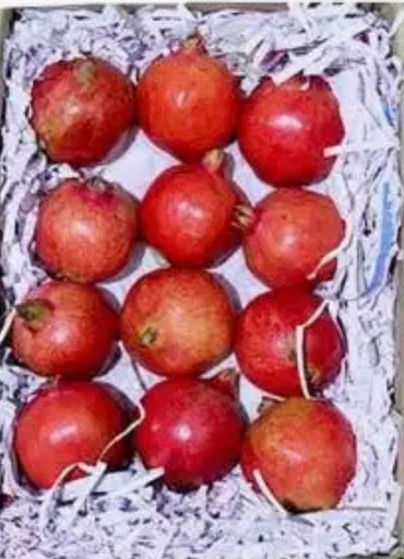 Pomegranate India 🇮🇳