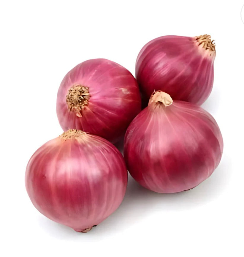 Onion Red perueim good quality India 🇮🇳