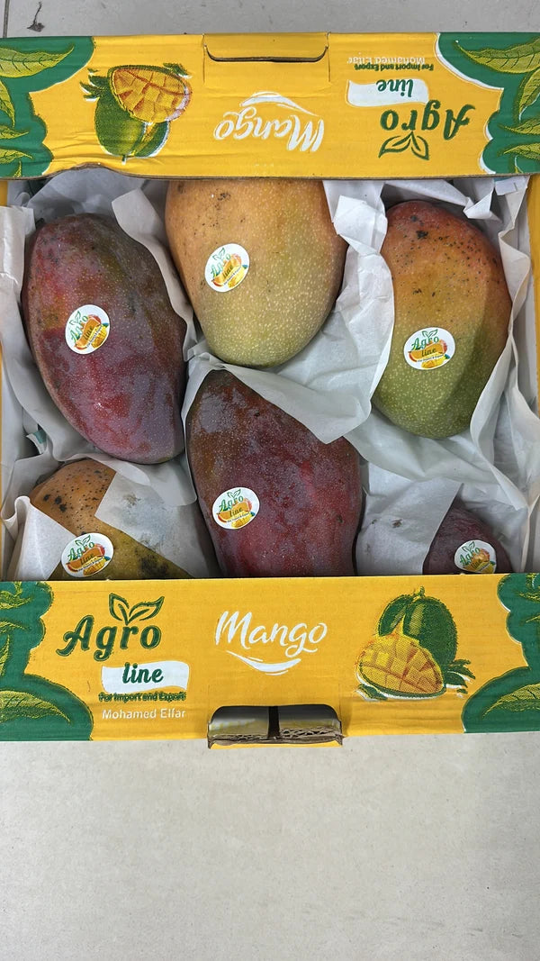 Mango Egypt Premium Quality