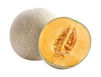 Rock melon 6 pice 12-14 kg jordan 🇯🇴