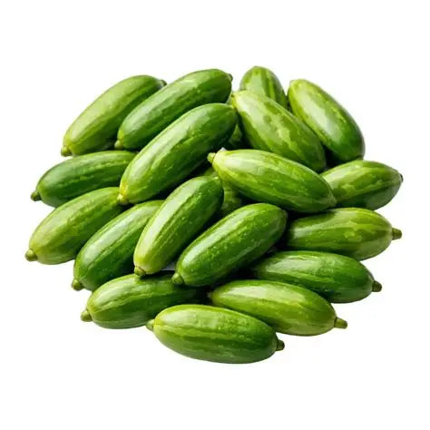Tindly (Ivy Gourd) India 🇮🇳