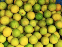 Lime Yellow Premium Quality India 🇮🇳