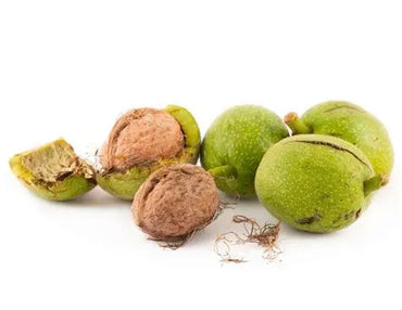 Fresh Walnut Premium Quality Iran 🇮🇷