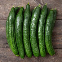 Cucumber Organic India 🇮🇳