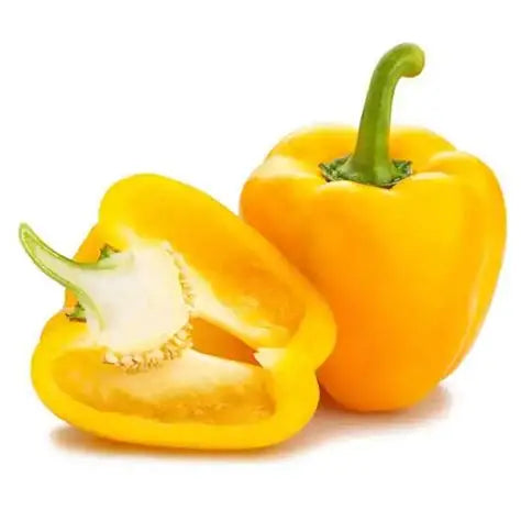 Capsicum Yellow premium Quality Holland 🇳🇱